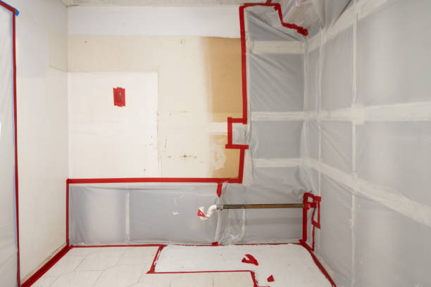 Best Industrial Mold Remediation  in Antioch, CA