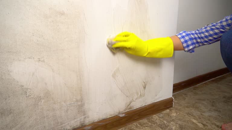 Best Mold Remediation for Healthcare Facilities  in Antioch, CA