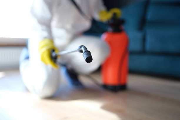 Best Forensic Mold Investigation  in Antioch, CA