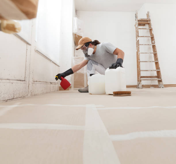 Best Comprehensive Air Testing for Mold Contaminants  in Antioch, CA