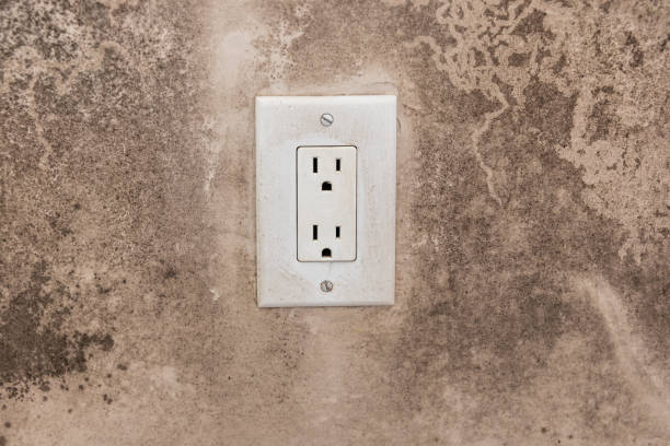 Antioch, CA Mold Removal Pros
